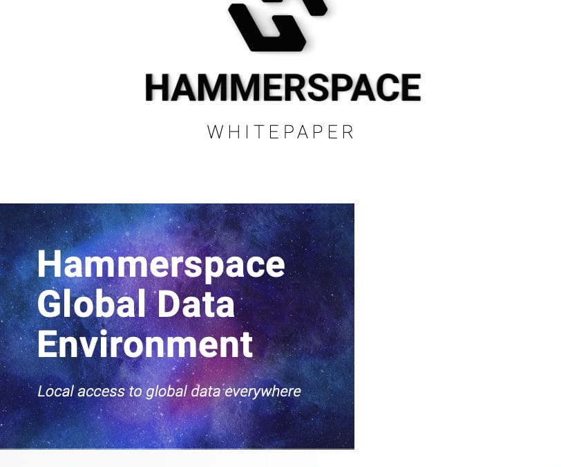 Hammerspace Global Data Environment