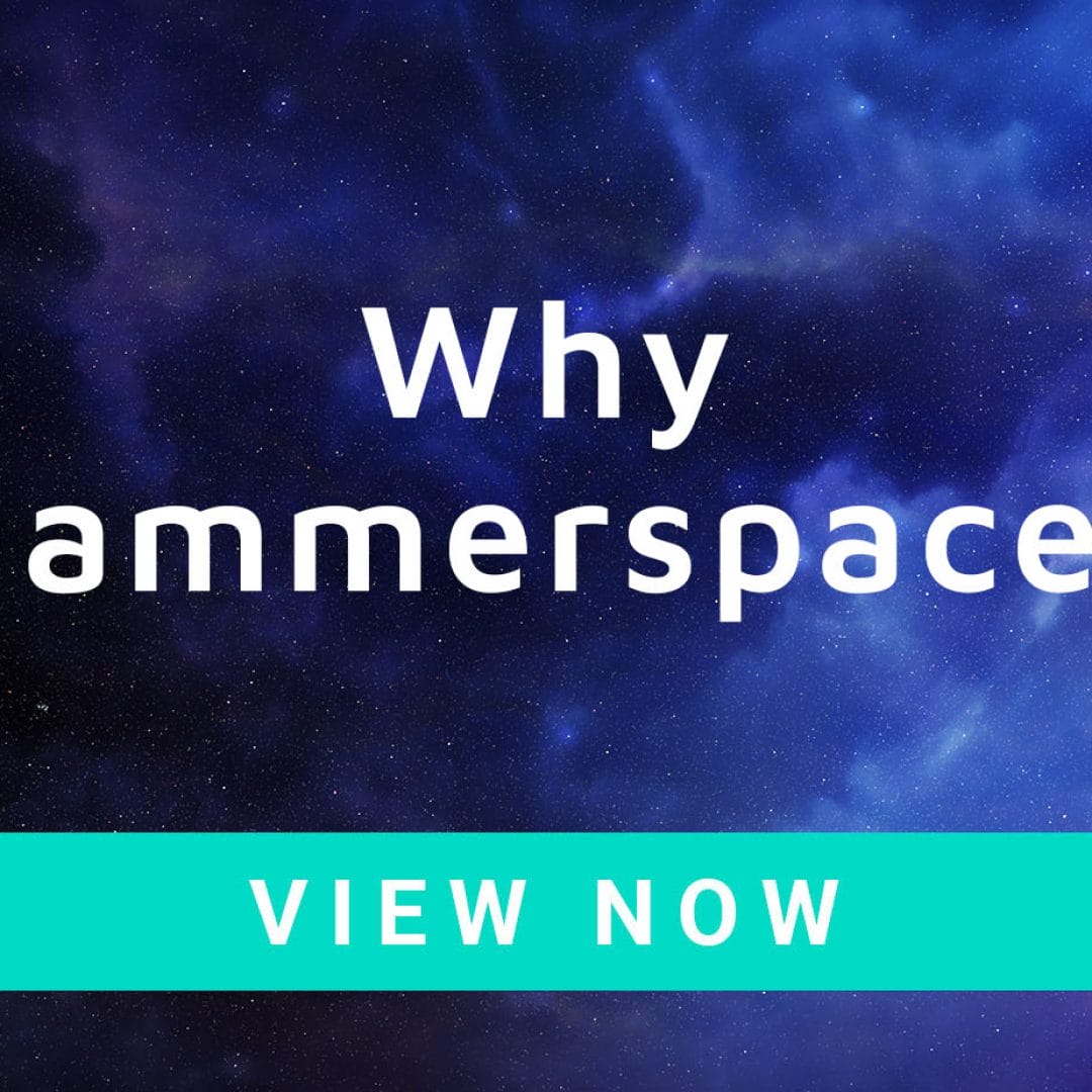 Why Hammerspace?