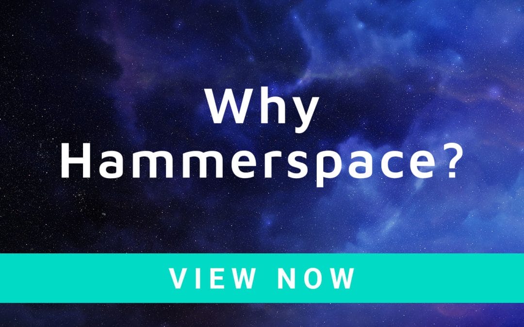 Why Hammerspace?